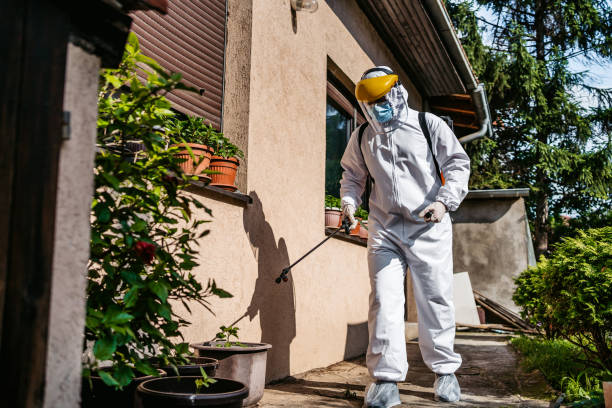Best Best Pest Control Companies  in Raubsville, PA