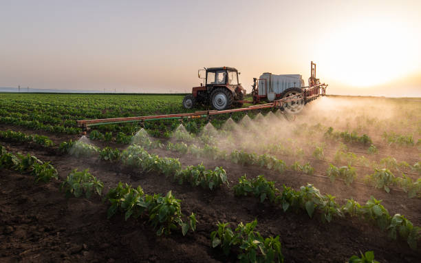 Reliable Raubsville, PA Pest Control Solutions