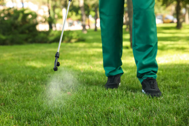 Best Affordable Pest Control Services  in Raubsville, PA