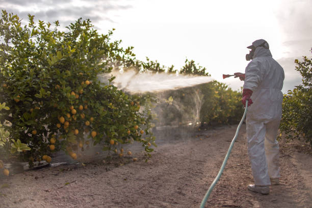 Best Pest Prevention Services  in Raubsville, PA