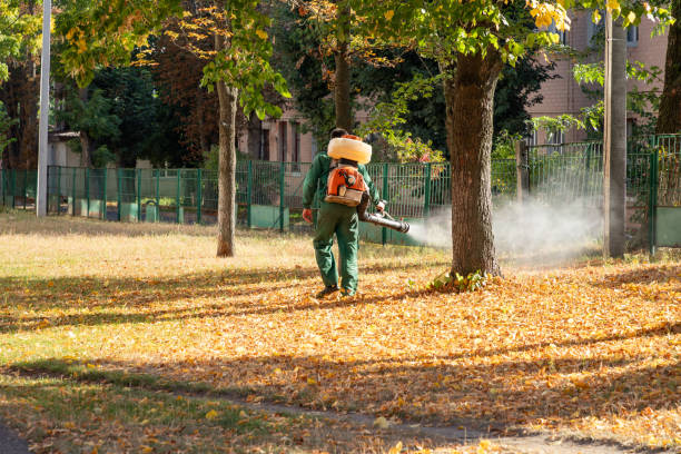Flea Control Services in Raubsville, PA
